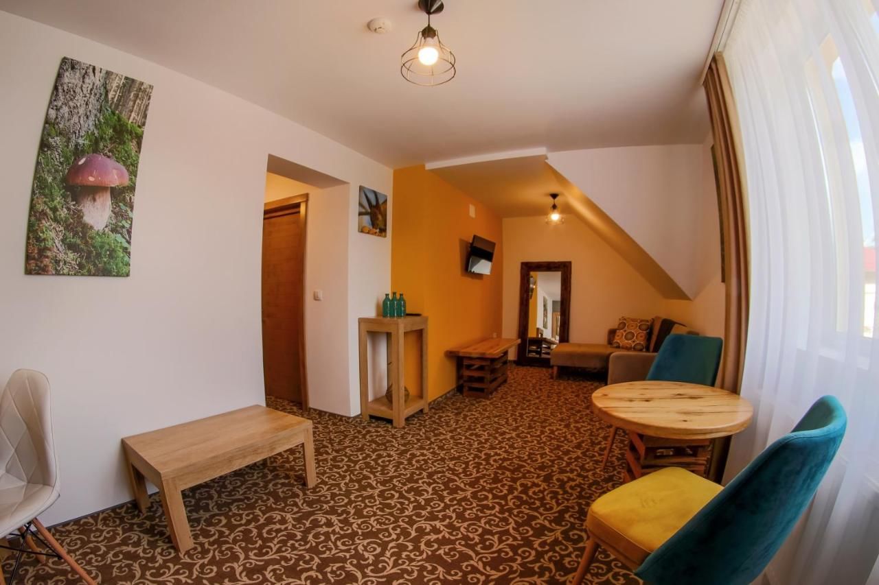 Отели типа «постель и завтрак» Residence Rooms Bucovina Кымпулунг-Молдовенеск-46