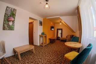 Отели типа «постель и завтрак» Residence Rooms Bucovina Кымпулунг-Молдовенеск Улучшенные апартаменты-13